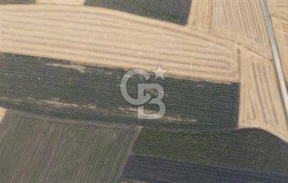 KIRKLARELİ LÜLEBURGAZ AKÇAKÖY KÖYÜ'NDE 47.050 m² SATILIK TARLA