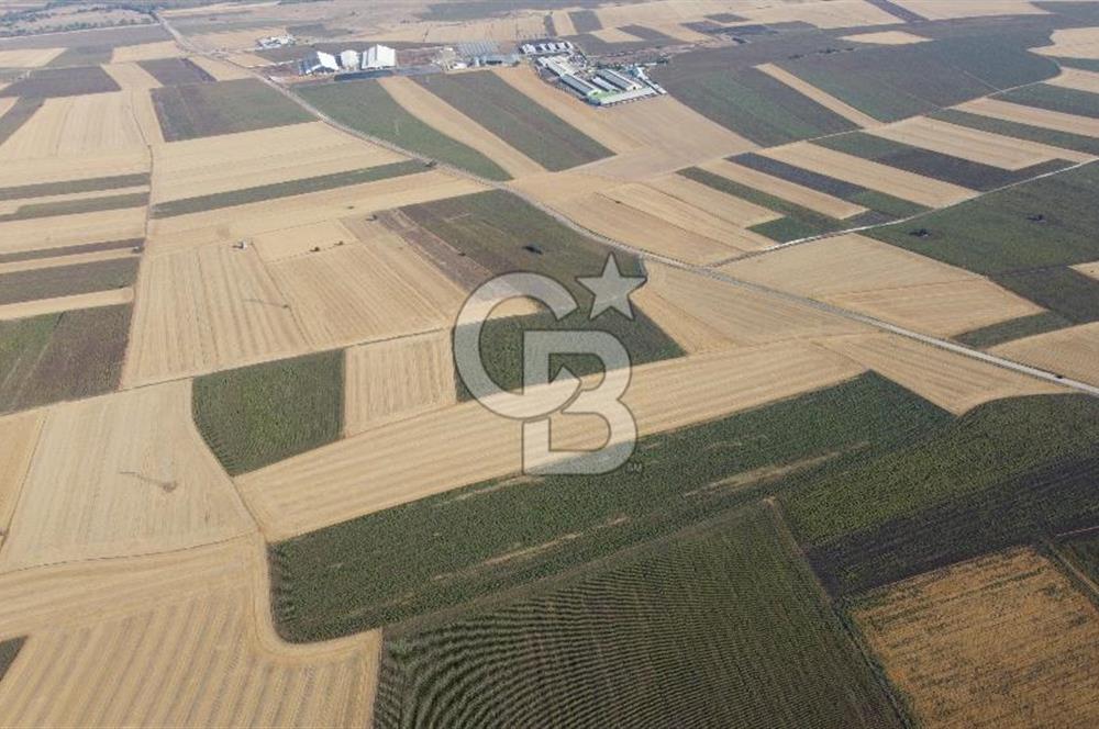KIRKLARELİ LÜLEBURGAZ AKÇAKÖY KÖYÜ'NDE 47.050 m² SATILIK TARLA