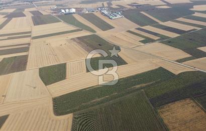KIRKLARELİ LÜLEBURGAZ AKÇAKÖY KÖYÜ'NDE 47.050 m² SATILIK TARLA