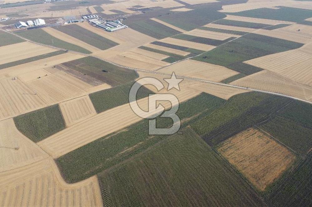 KIRKLARELİ LÜLEBURGAZ AKÇAKÖY KÖYÜ'NDE 47.050 m² SATILIK TARLA