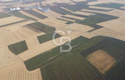 KIRKLARELİ LÜLEBURGAZ AKÇAKÖY KÖYÜ'NDE 47.050 m² SATILIK TARLA