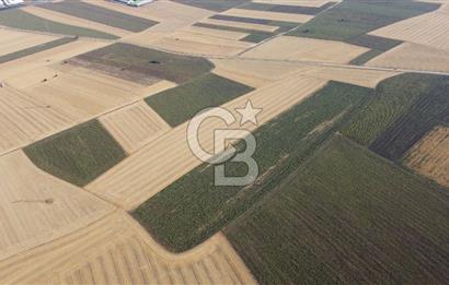 KIRKLARELİ LÜLEBURGAZ AKÇAKÖY KÖYÜ'NDE 47.050 m² SATILIK TARLA