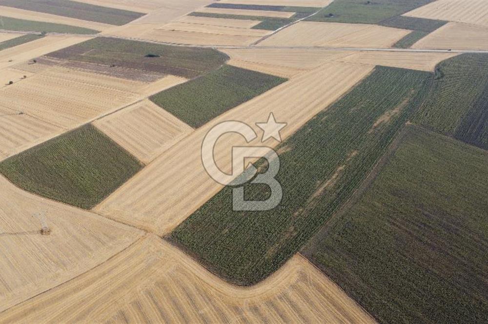KIRKLARELİ LÜLEBURGAZ AKÇAKÖY KÖYÜ'NDE 47.050 m² SATILIK TARLA