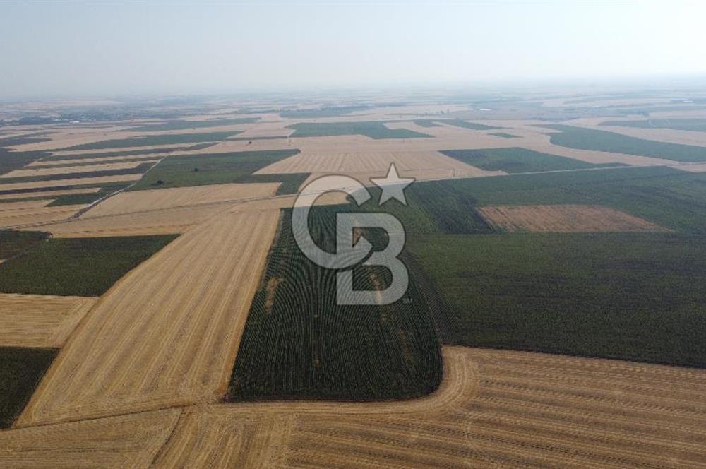 KIRKLARELİ LÜLEBURGAZ AKÇAKÖY KÖYÜ'NDE 47.050 m² SATILIK TARLA