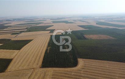 KIRKLARELİ LÜLEBURGAZ AKÇAKÖY KÖYÜ'NDE 47.050 m² SATILIK TARLA