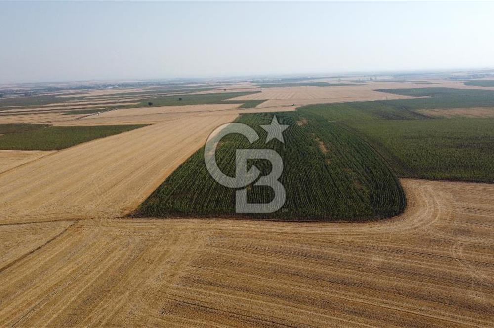 KIRKLARELİ LÜLEBURGAZ AKÇAKÖY KÖYÜ'NDE 47.050 m² SATILIK TARLA