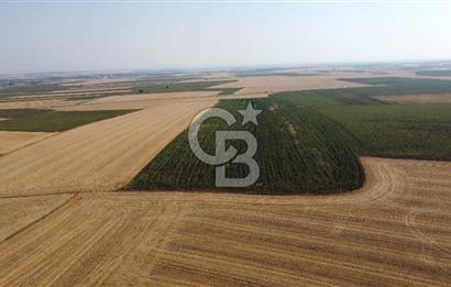 KIRKLARELİ LÜLEBURGAZ AKÇAKÖY KÖYÜ'NDE 47.050 m² SATILIK TARLA