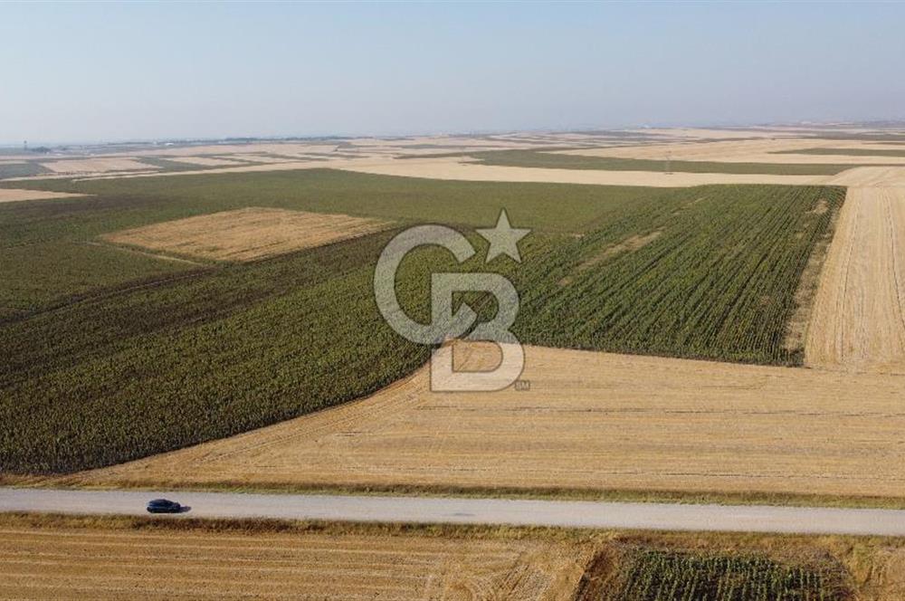KIRKLARELİ LÜLEBURGAZ AKÇAKÖY KÖYÜ'NDE 47.050 m² SATILIK TARLA