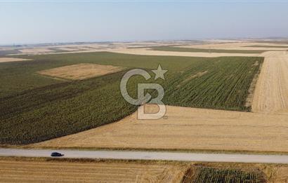 KIRKLARELİ LÜLEBURGAZ AKÇAKÖY KÖYÜ'NDE 47.050 m² SATILIK TARLA