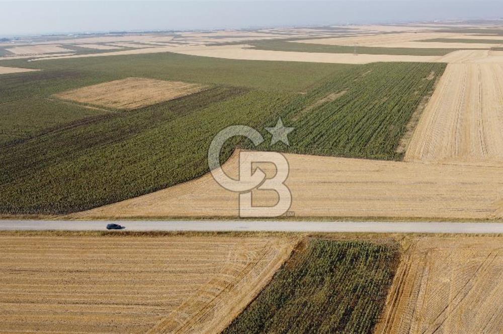 KIRKLARELİ LÜLEBURGAZ AKÇAKÖY KÖYÜ'NDE 47.050 m² SATILIK TARLA