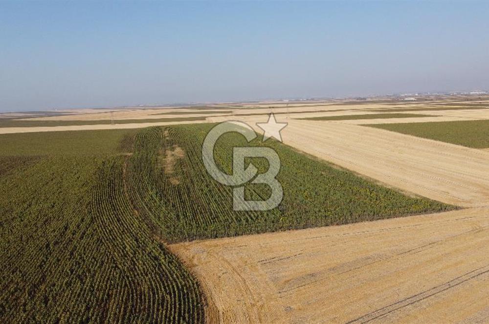 KIRKLARELİ LÜLEBURGAZ AKÇAKÖY KÖYÜ'NDE 47.050 m² SATILIK TARLA