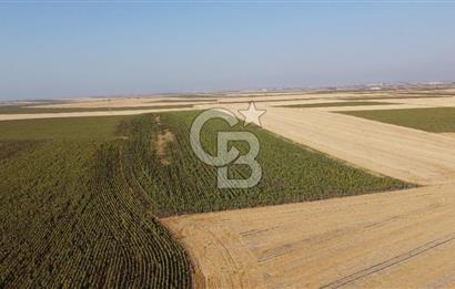 KIRKLARELİ LÜLEBURGAZ AKÇAKÖY KÖYÜ'NDE 47.050 m² SATILIK TARLA