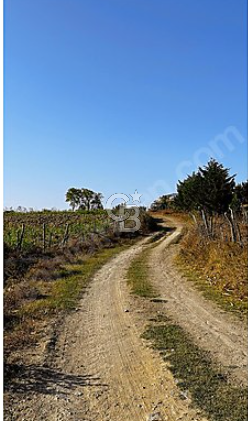 ARNAVUTKÖY TAŞOLUKTA FIRSATLIK YATIRIMLIK ÇAPLI ARSA