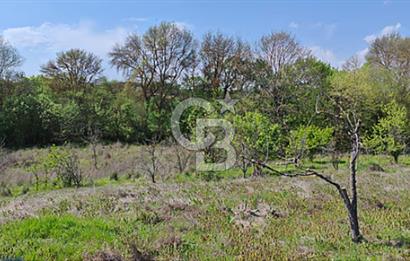 KIRKLARELİ PINARHİSAR OSMANCIK TEK TAPU MÜSTAKİL FIRSAT