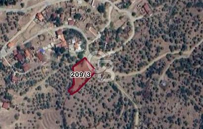 İzmir Bayındır Pınarlı'da Köy İçinde Satılık İmarlı Arsa