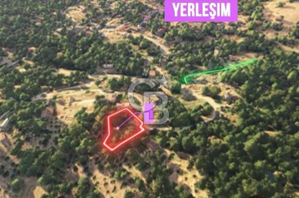 İzmir Bayındır Pınarlı'da Köy İçinde Satılık İmarlı Arsa