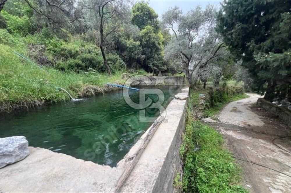 MİLAS KAYABAŞI KÖK TAPU BAĞ EVİ YAPILABİLEN KUPON ARSA