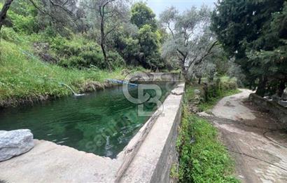 MİLAS KAYABAŞI KÖK TAPU BAĞ EVİ YAPILABİLEN KUPON ARSA