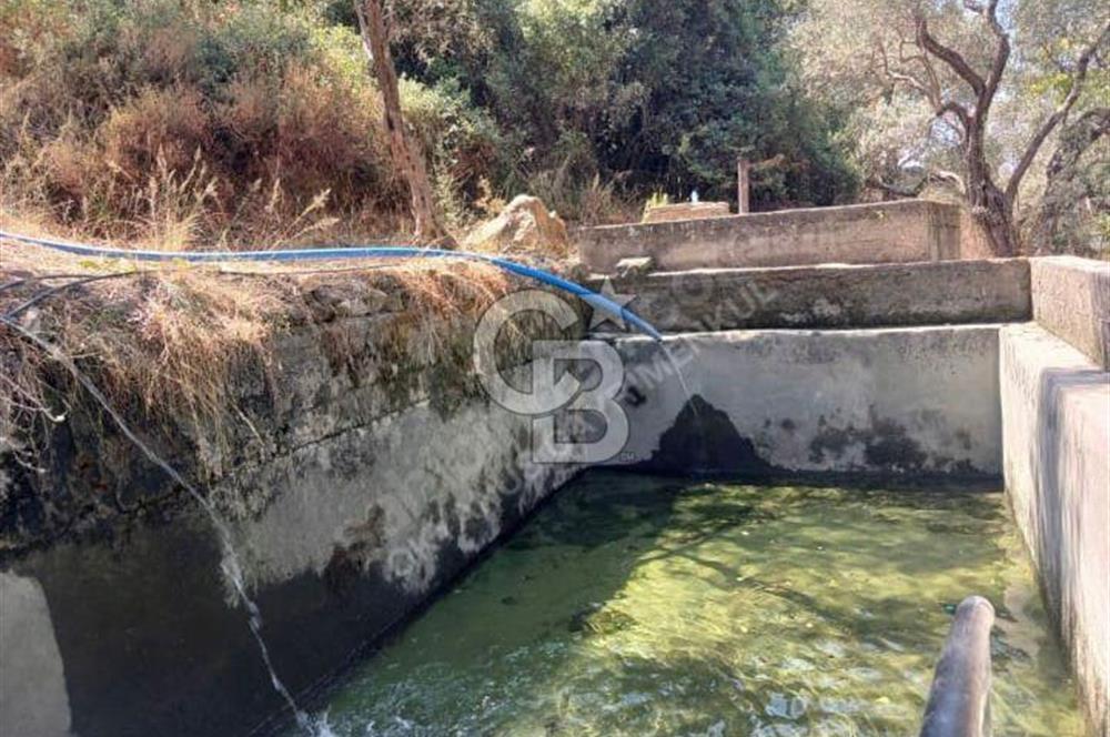 MİLAS KAYABAŞI KÖK TAPU BAĞ EVİ YAPILABİLEN KUPON ARSA