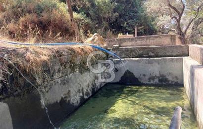 MİLAS KAYABAŞI KÖK TAPU BAĞ EVİ YAPILABİLEN KUPON ARSA