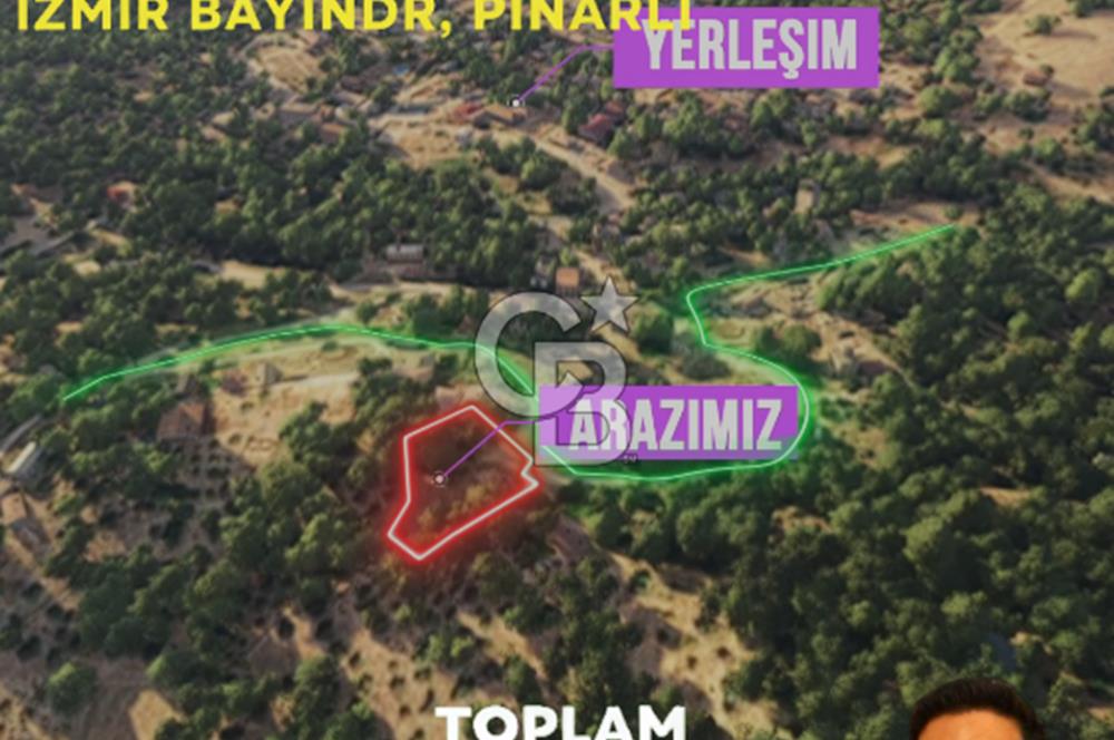 İzmir Bayındır Pınarlı'da Köy İçinde Satılık İmarlı Arsa