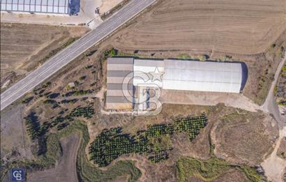 BÜYÜKKARIŞTIRAN 10.000 M2 KAPALI 22.000 M2 AÇIK ÜRETİM ve DEPO