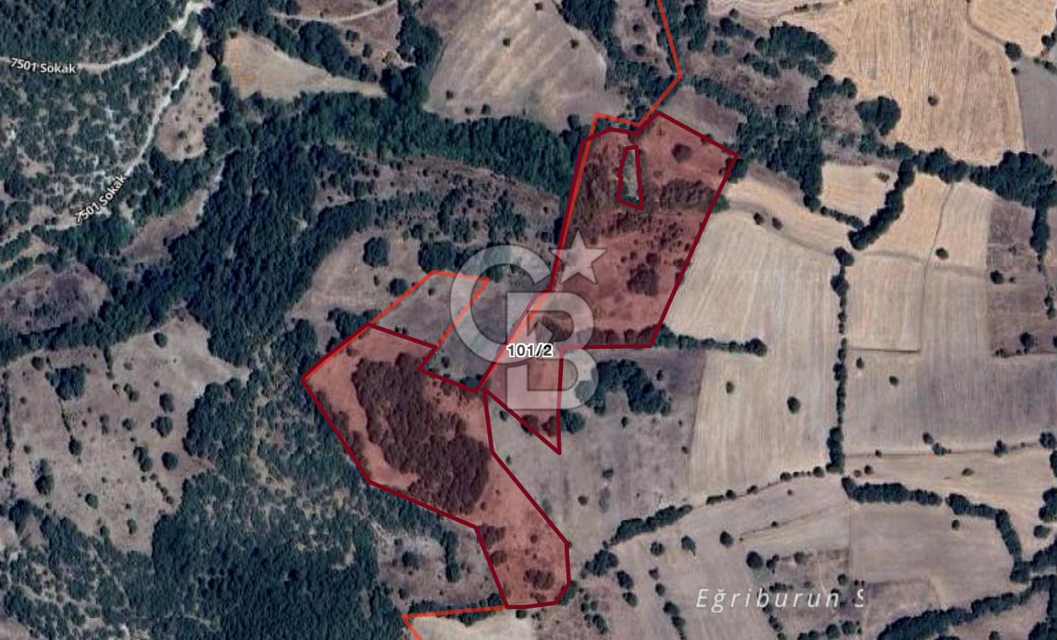 CB EAGLE'DAN DURSUNBEY KARAGÖZ MAHALLESİNDE SATILIK TARLA 29.777 M2
