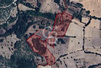 CB EAGLE'DAN DURSUNBEY KARAGÖZ MAHALLESİNDE SATILIK TARLA 29.777 M2 - 10 - 310391