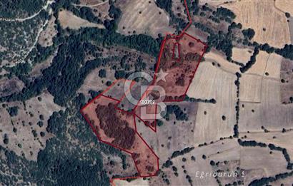 CB EAGLE'DAN DURSUNBEY KARAGÖZ MAHALLESİNDE SATILIK TARLA 29.777 M2