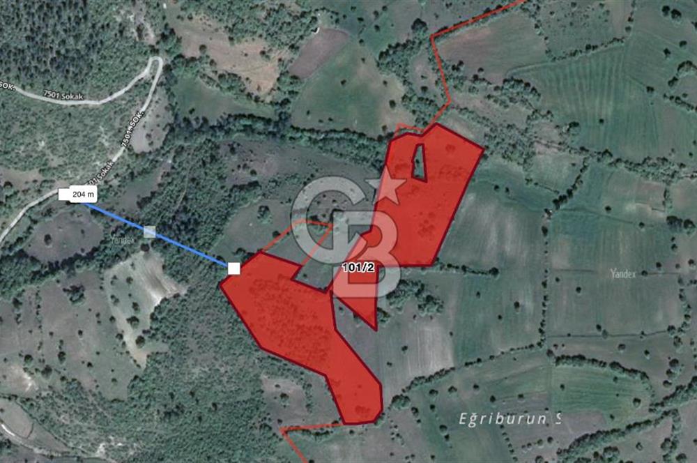 CB EAGLE'DAN DURSUNBEY KARAGÖZ MAHALLESİNDE SATILIK TARLA 29.777 M2