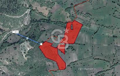 CB EAGLE'DAN DURSUNBEY KARAGÖZ MAHALLESİNDE SATILIK TARLA 29.777 M2