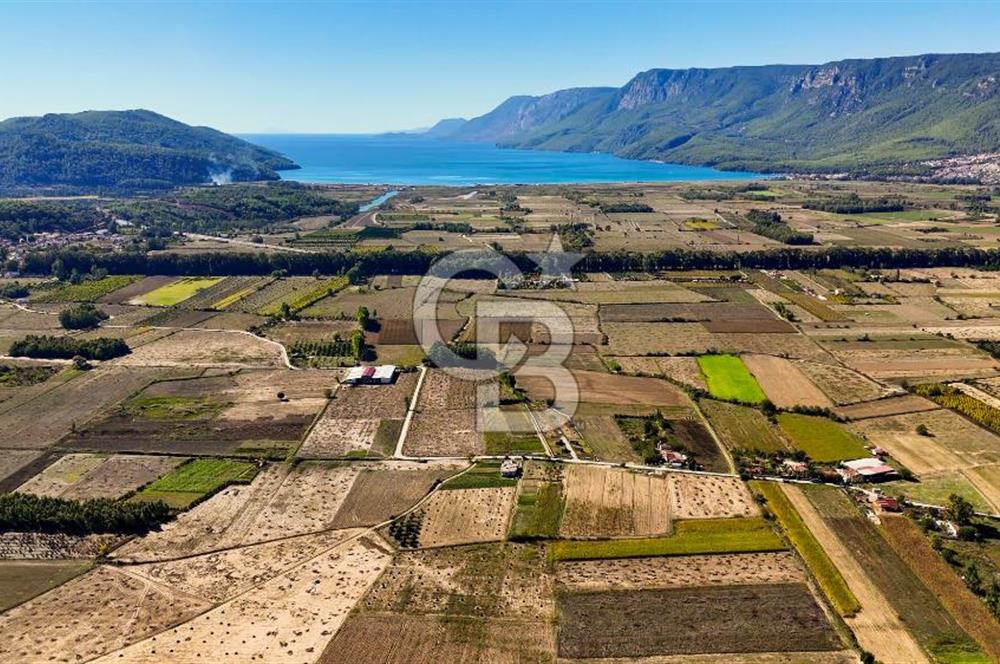  EŞSİZ DOĞANIN İÇİN DE SATILIK TARLA