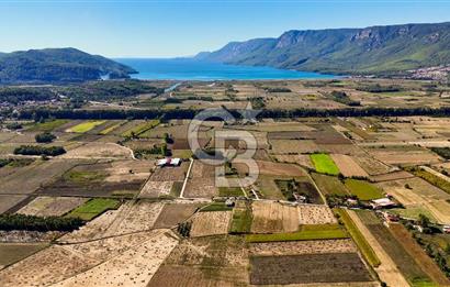  EŞSİZ DOĞANIN İÇİN DE SATILIK TARLA