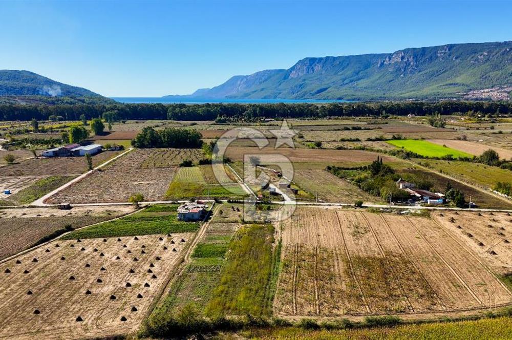  EŞSİZ DOĞANIN İÇİN DE SATILIK TARLA