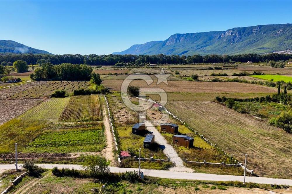  EŞSİZ DOĞANIN İÇİN DE SATILIK TARLA