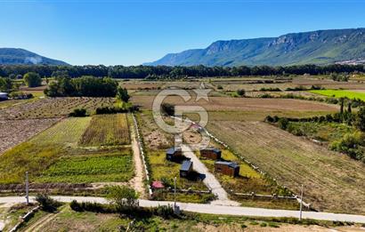  EŞSİZ DOĞANIN İÇİN DE SATILIK TARLA