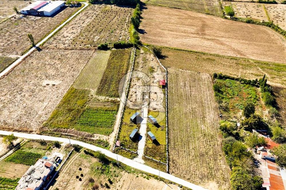  EŞSİZ DOĞANIN İÇİN DE SATILIK TARLA