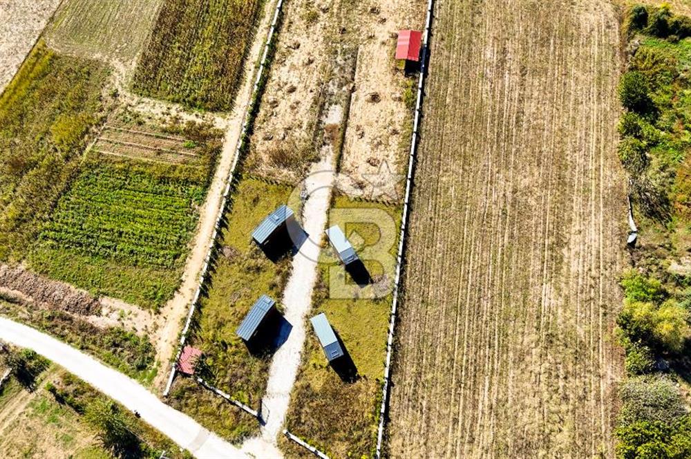  EŞSİZ DOĞANIN İÇİN DE SATILIK TARLA