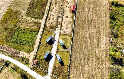  EŞSİZ DOĞANIN İÇİN DE SATILIK TARLA