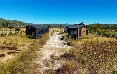  EŞSİZ DOĞANIN İÇİN DE SATILIK TARLA