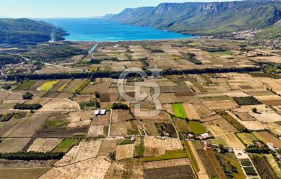  EŞSİZ DOĞANIN İÇİN DE SATILIK TARLA