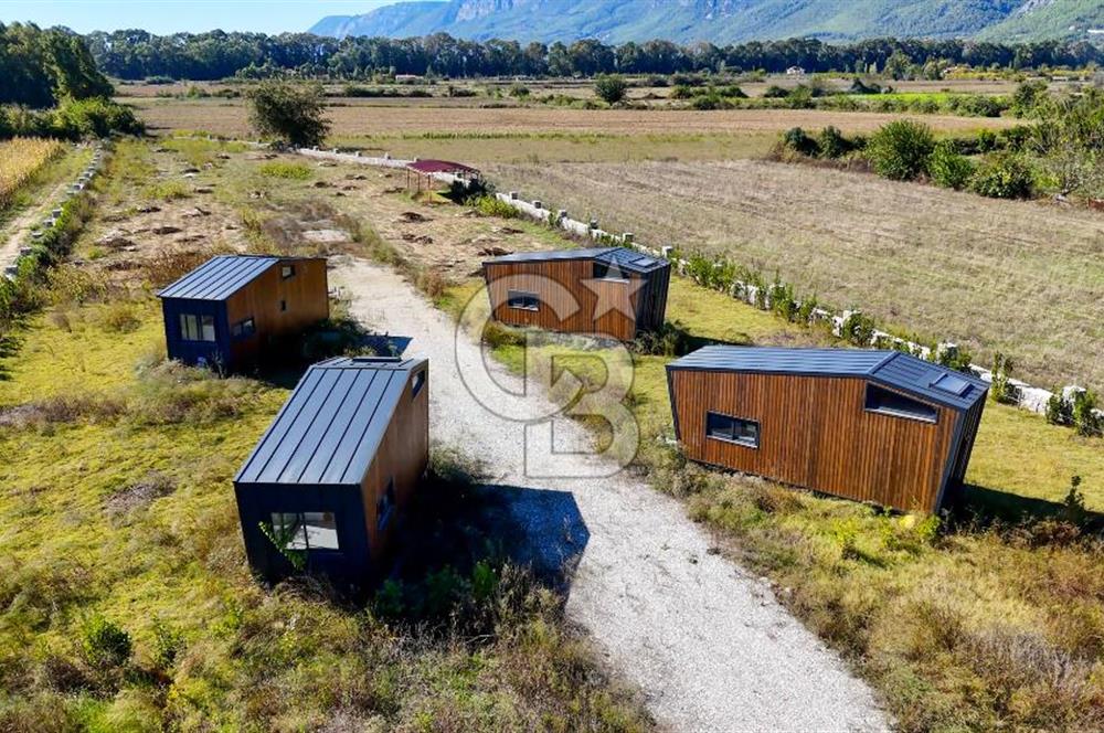  EŞSİZ DOĞANIN İÇİN DE SATILIK TARLA