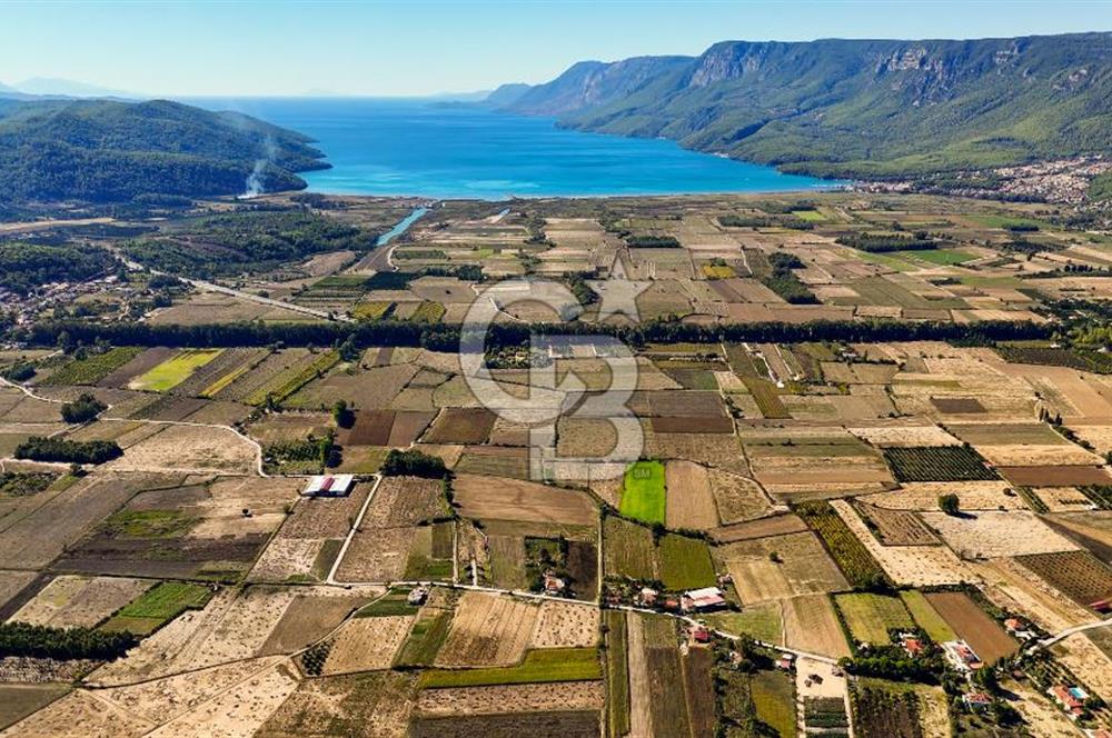  EŞSİZ DOĞANIN İÇİN DE SATILIK TARLA