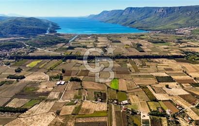  EŞSİZ DOĞANIN İÇİN DE SATILIK TARLA