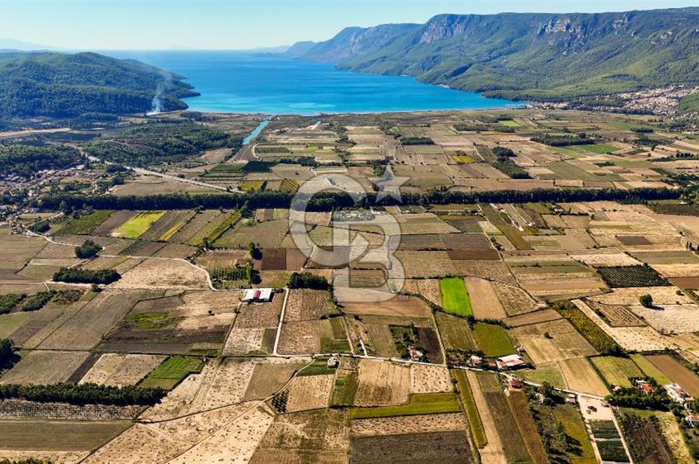  EŞSİZ DOĞANIN İÇİN DE SATILIK TARLA