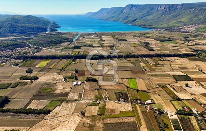  EŞSİZ DOĞANIN İÇİN DE SATILIK TARLA