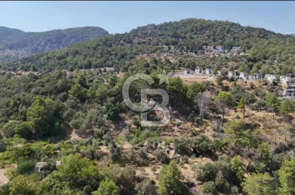 MUĞLA SARIGERME'DE DENİZ MANZARALI TEK TAPU İMARLI 500 M2 ARSA
