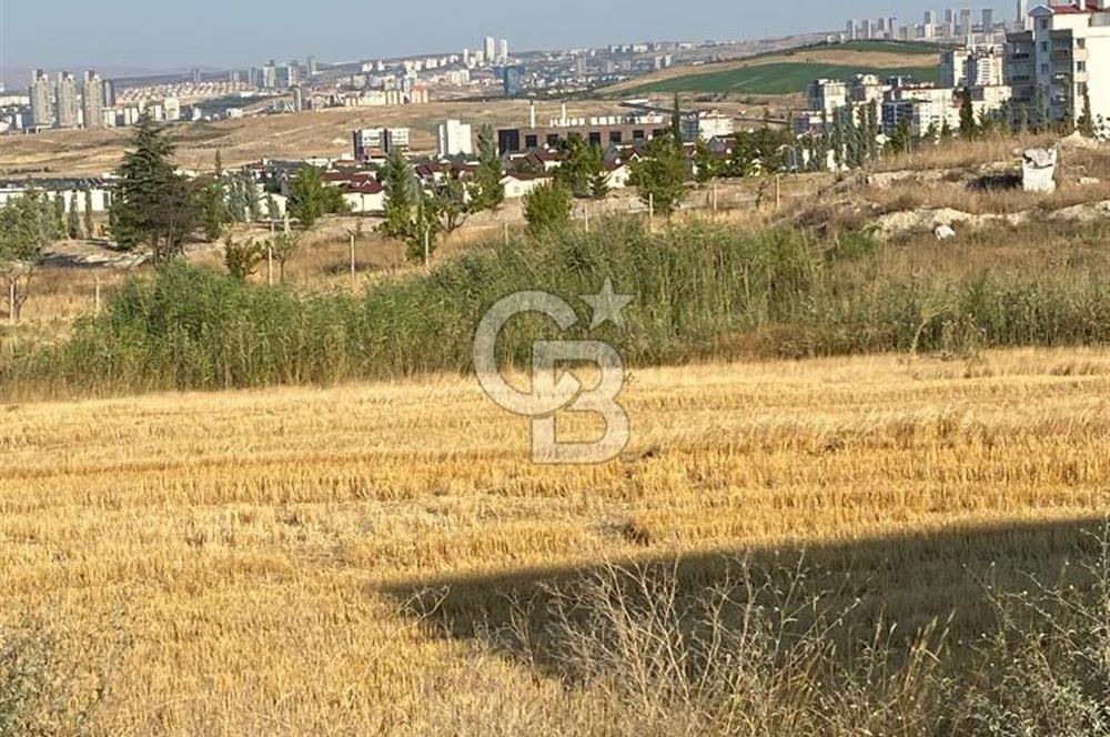 BAĞLICA VİLLALAR BÖLGESİNDE 1184 M2 KOOPERATİFTEN SATILIK ARSA