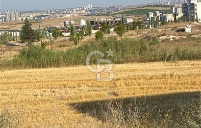 BAĞLICA VİLLALAR BÖLGESİNDE 1184 M2 KOOPERATİFTEN SATILIK ARSA