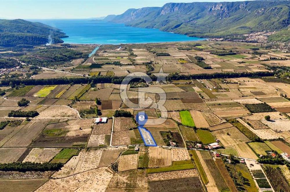  EŞSİZ DOĞANIN İÇİN DE SATILIK TARLA